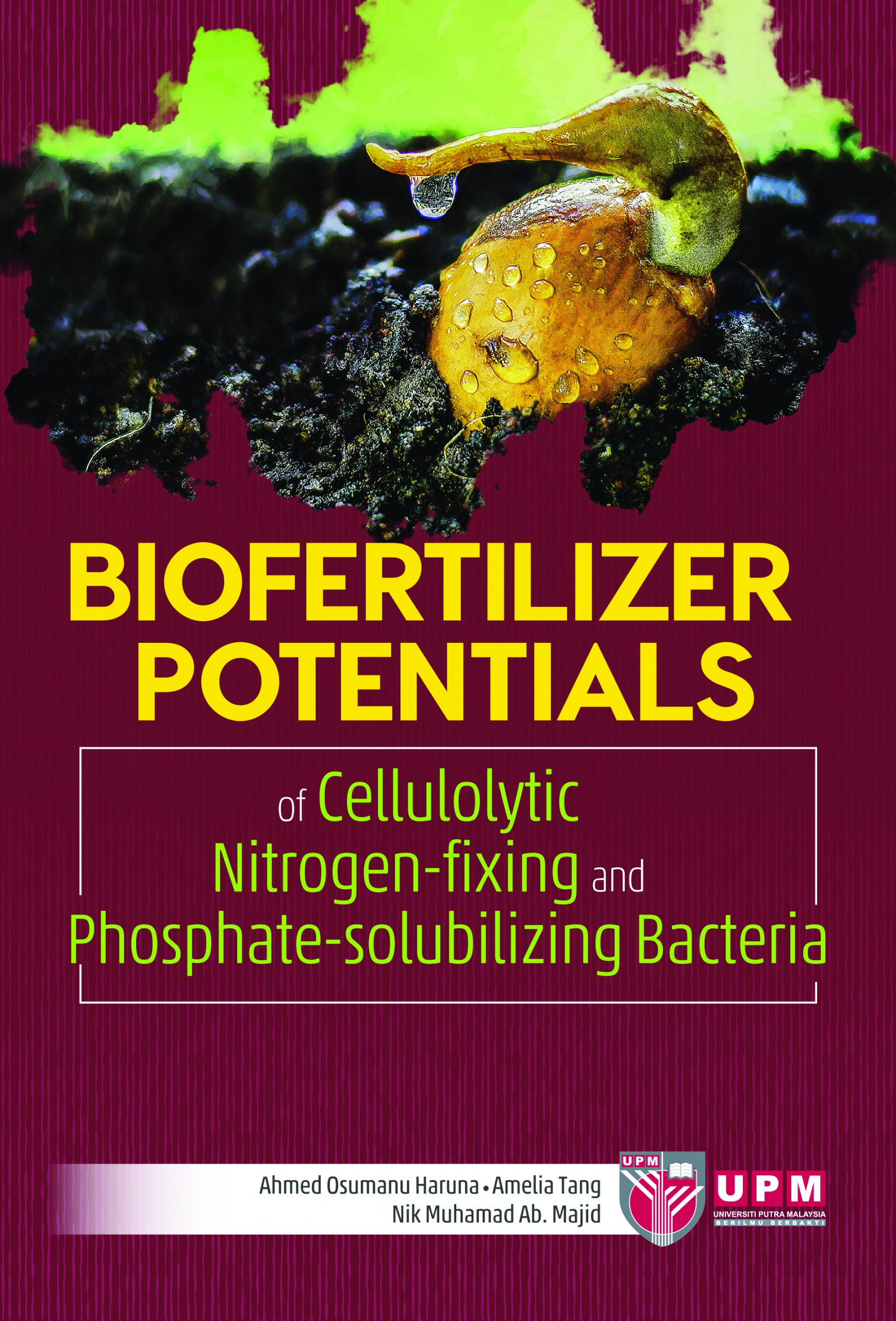 Biofertilizer Potentials of Cellulolytic, Nitrogen and Phospate-Solubilizing Bacteria