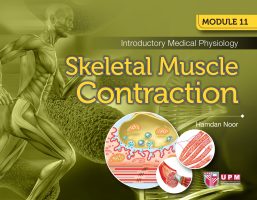 Introductory Medical Physiology: Skeletal Muscle Constraction