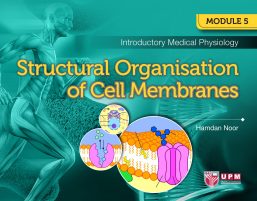 Introductory Medical Physiology: Structural Organisation of Cell Membranes