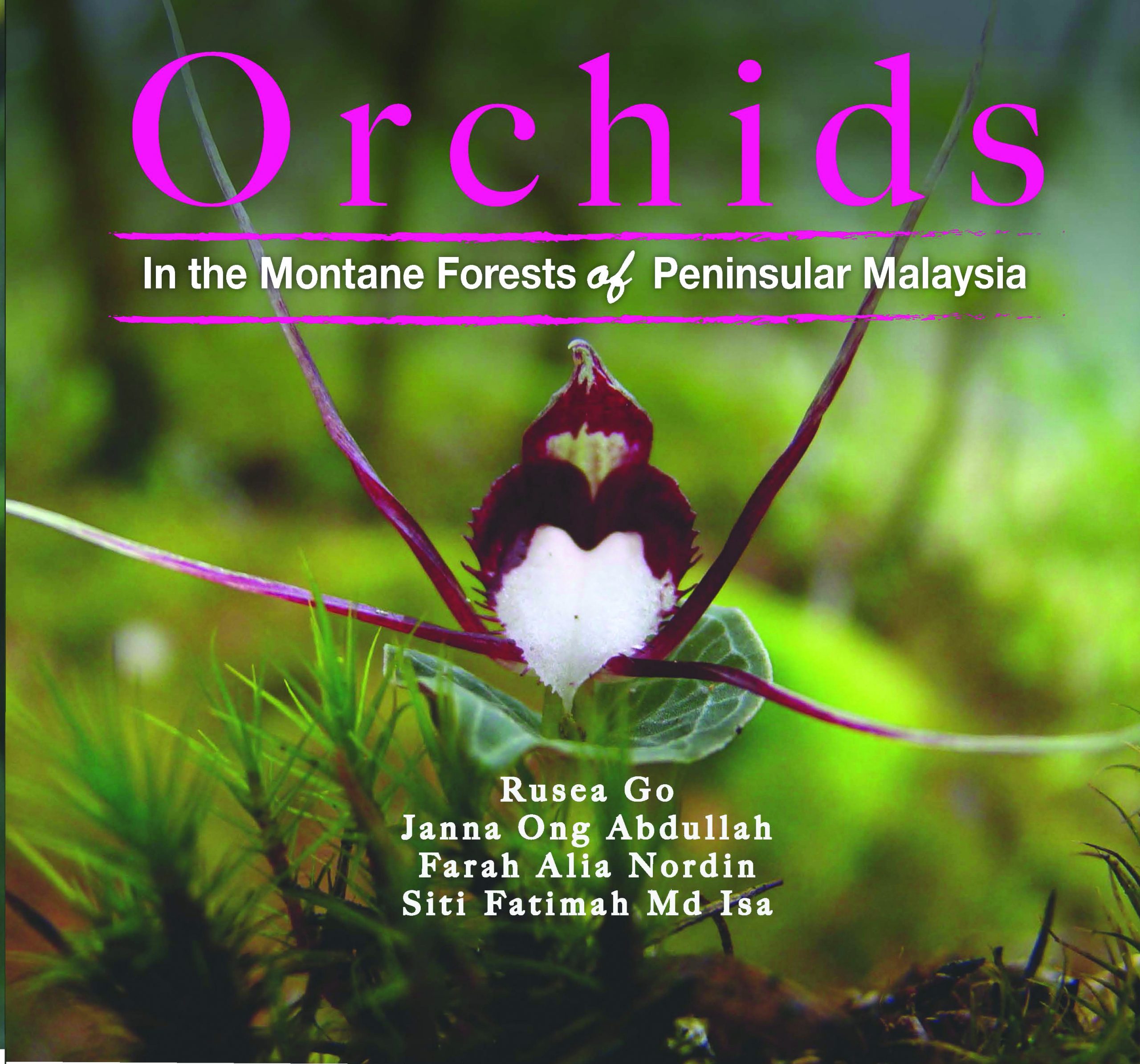 Orchids in the Montane Forests of Peninsular Malaysia