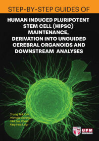 Step-by-Step Guides of Human Induced Pluripotent Stem Cell (HIPSC) Maintenance, Derivation into Unguided Cerebral Organoids and Downstream Analyses